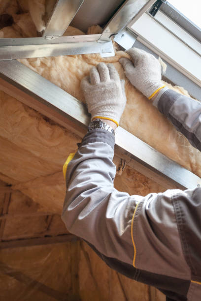 Best Spray Foam Insulation  in St Paris, OH