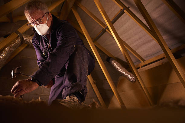 Best Insulation Repair Services  in St Paris, OH