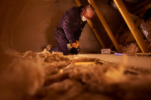 Best Garage Insulation Installation  in St Paris, OH